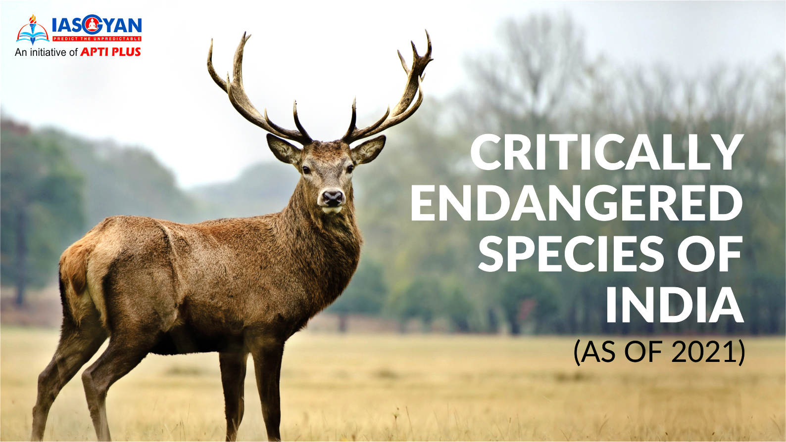 CRITICALLY ENDANGERED SPECIES OF INDIA (AS OF 2021) UPSC