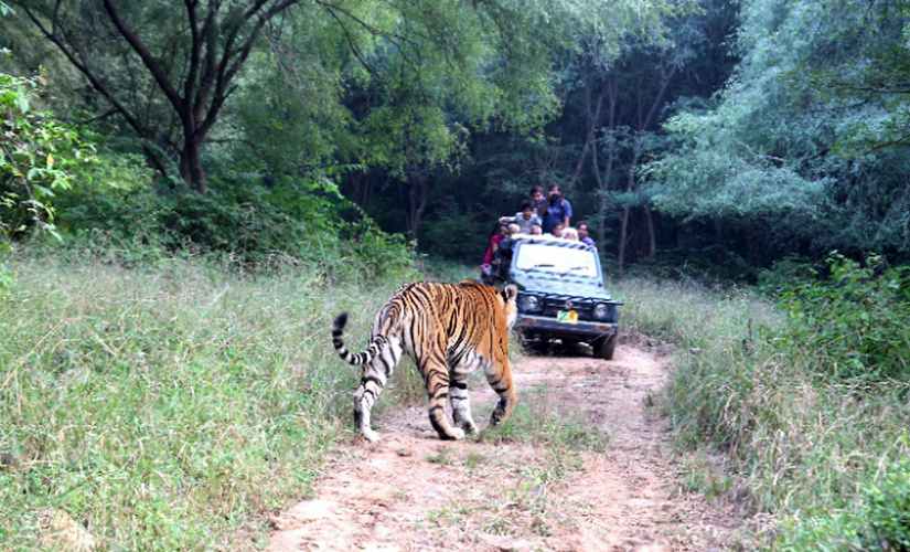 Sariska Tiger Reserve