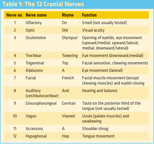 RAMSAY HUNT SYNDROME IAS GYAN ramsay-hunt-syndrome-ias-gyan