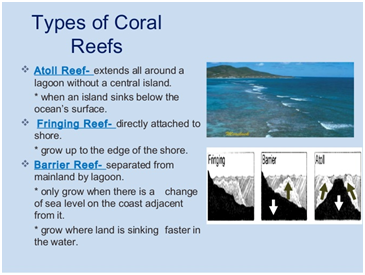 CORAL AND CORAL BLEACHING UPSC