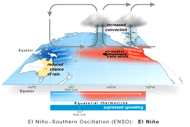 ENSO®