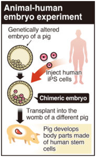 CHIMERA RESEARCH UPSC